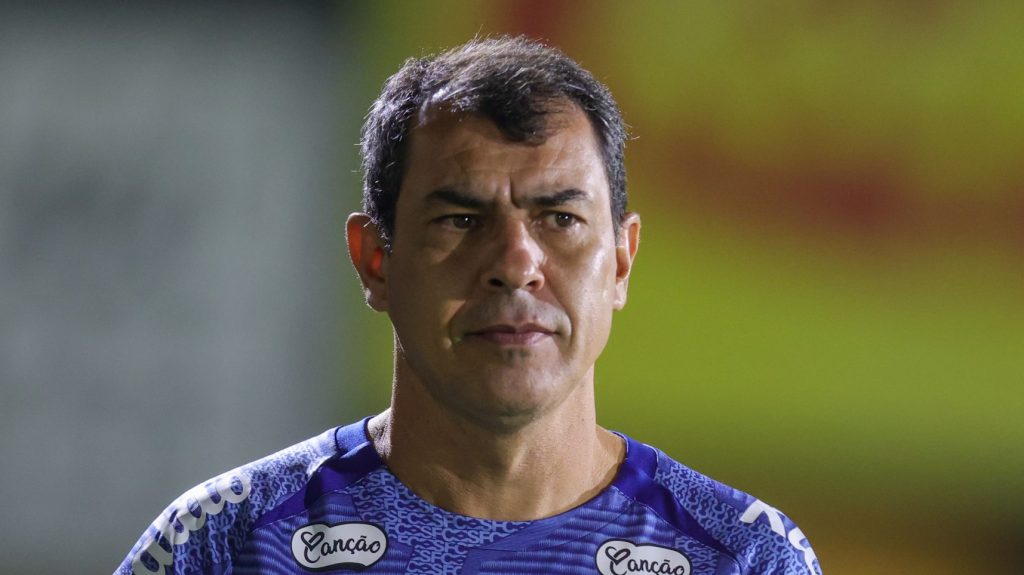 Treinador deve buscar um novo clube em 2025 - Foto: Pedro Zacchi/AGIF.