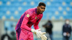 Neneca viveu seu auge em 2020 - Foto: Pedro H. Tesch/AGIF.