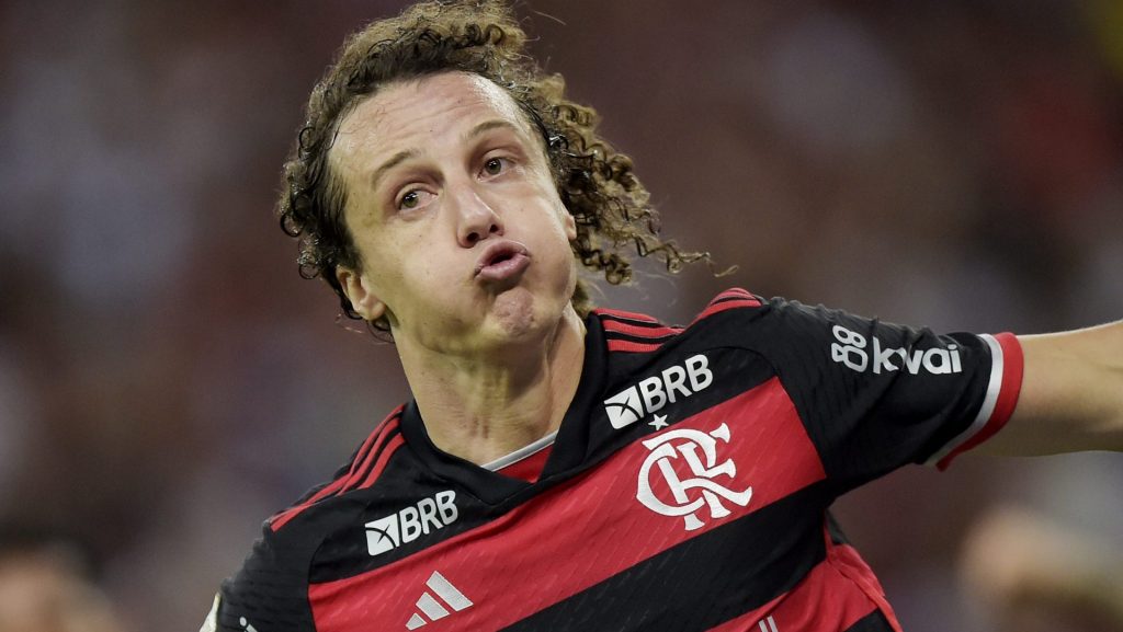 David Luiz conquistou mais um título pelo Flamengo - Foto: Alexandre Loureiro/AGIF.