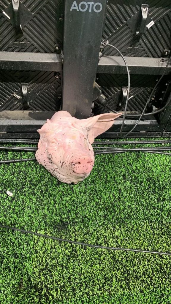 Cabeça de porco foi arremessada no gramado em Corinthians x Palmeiras - Foto: Bruno Palamin.
