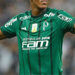 Foto: Divulgação/Palmeiras