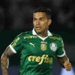 Dudu, ídolo do Palmeiras. Foto: Cesar Greco