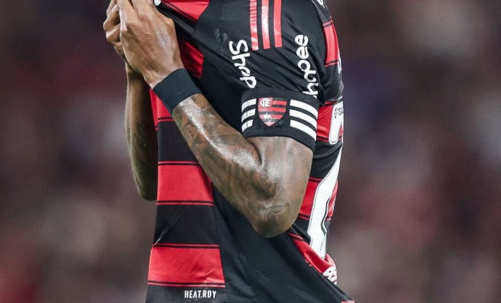 Foto: Reprodução.
